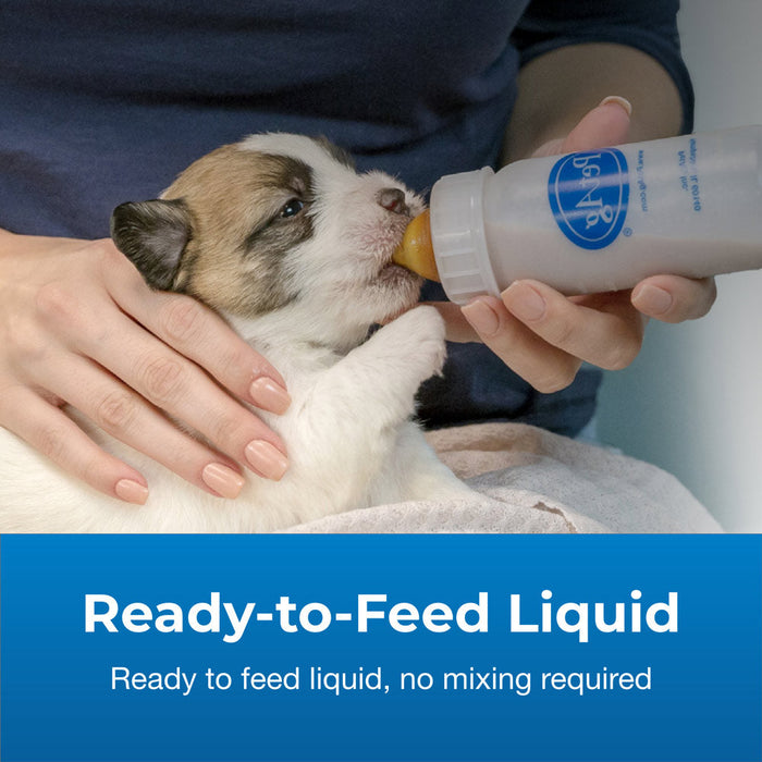 PetAg Goats Milk Esbilac Puppy Milk Replacer Liquid for Puppies 16 fl-oz Size 16 oz