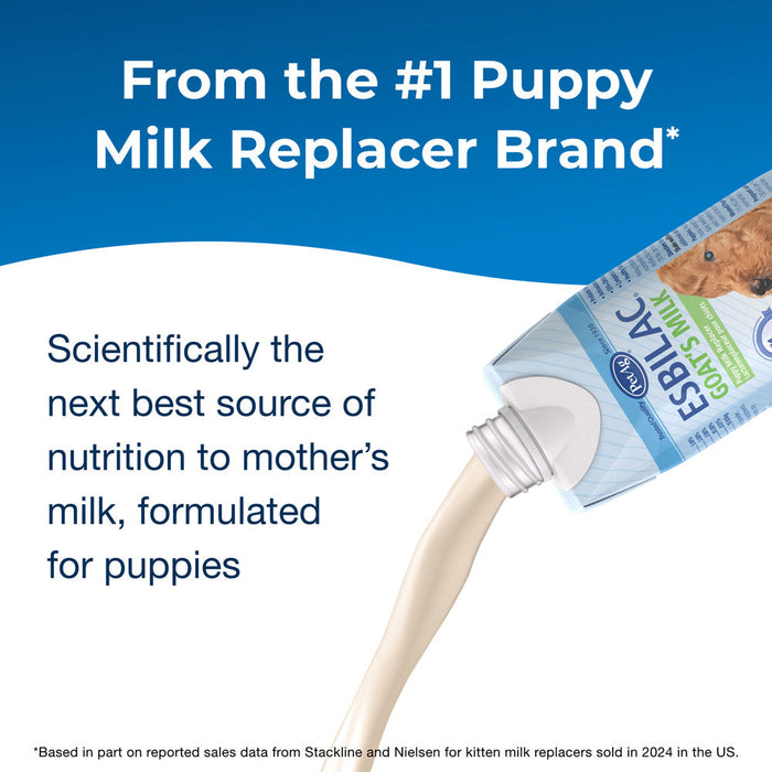 PetAg Goats Milk Esbilac Puppy Milk Replacer Liquid for Puppies 16 fl-oz Size 16 oz