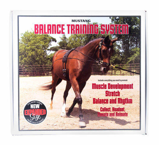 Balanced Training Set - 1212V - 2