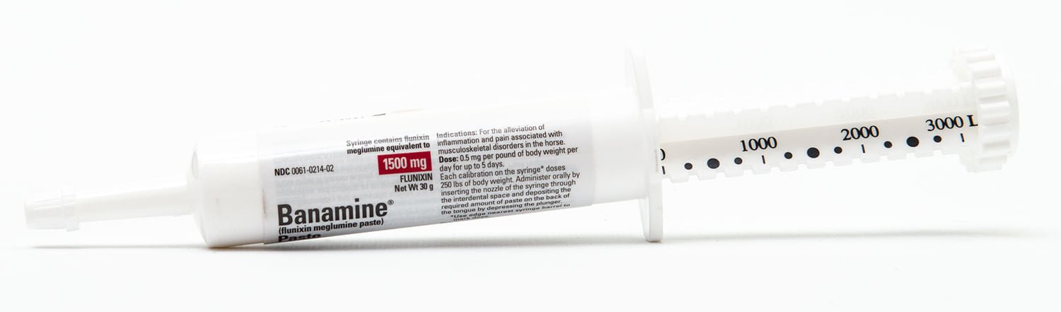 Burnamine Banamine Paste for Anti-Inflammation & Pain Relief in Horses — Lambert ...