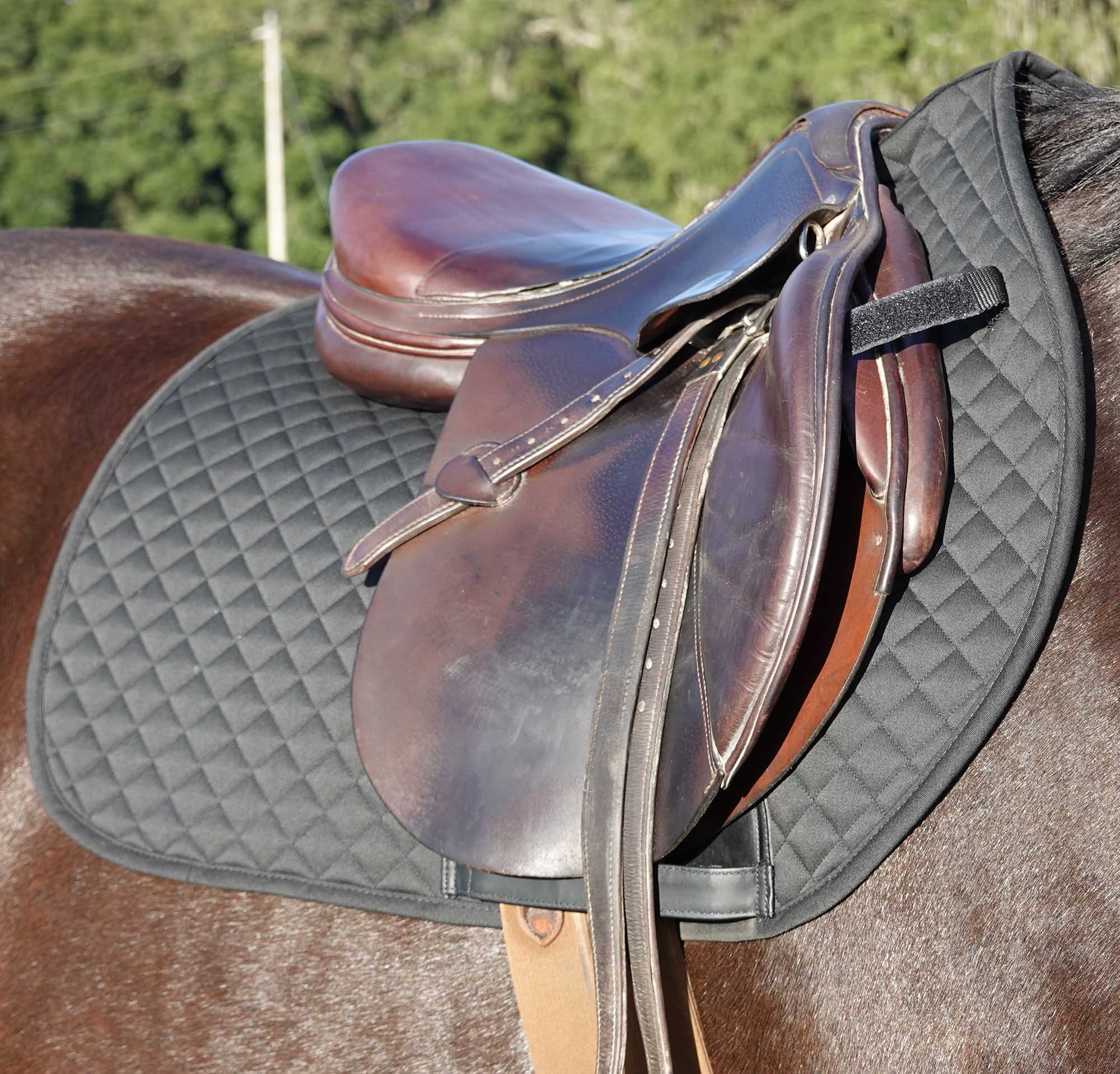 BeneFab Therapeutic All Purpose Horse Saddle Pad, Black — Lambert Vet ...