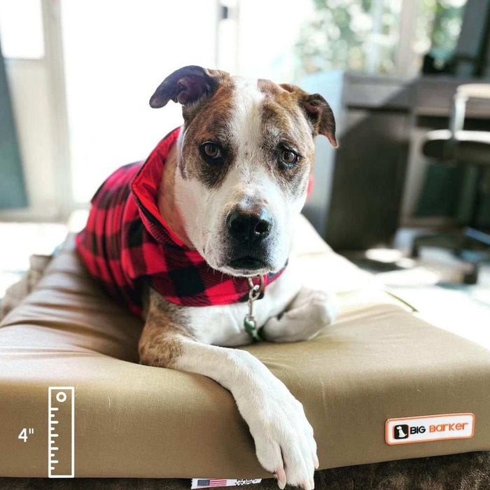 Big Barker 4" Thick Ortholift Crate Dog Bed – Orthopedic Foam Mat for Dogs - Jeffers - Dog Supplies > Dog Beds