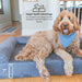 Big Barker 7" Thick Orthopedic Sofa Dog Bed for Large & Giant Breed Dogs – Vet Recommended, Joint Support, Durable Foam - Jeffers - Dog Supplies > Dog Beds