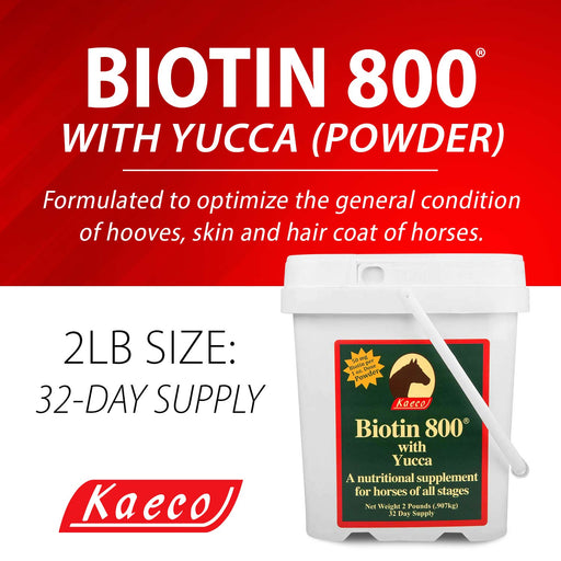 Biotin 800 Powder with Yucca Equine Supplement - KKB2 - Biotin 800 Powder, 2 lbs - 8