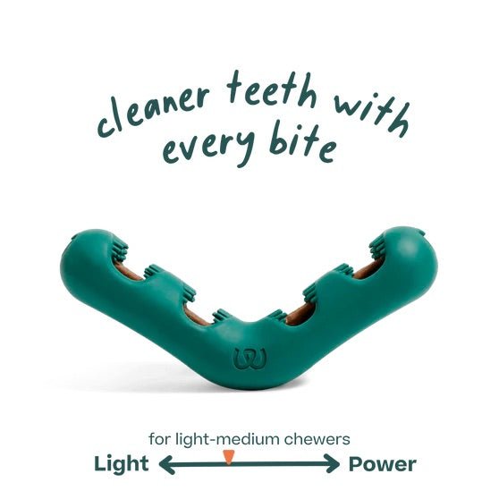 Bite n’ Brush Dog Dental Chew Toy & Treat Refills– Self - Cleaning, Teeth & Gum Care, Plaque & Tartar Remover - WO2AR - Brush - Small - 2