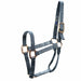 Average Horse Halter Black/White Color BLACK/WHITE