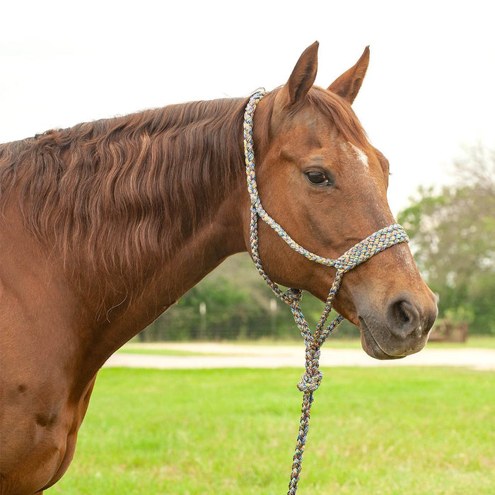 Braided Mule Tape Halter with 9' Lead - QL1EF - Mardi Gras - 12