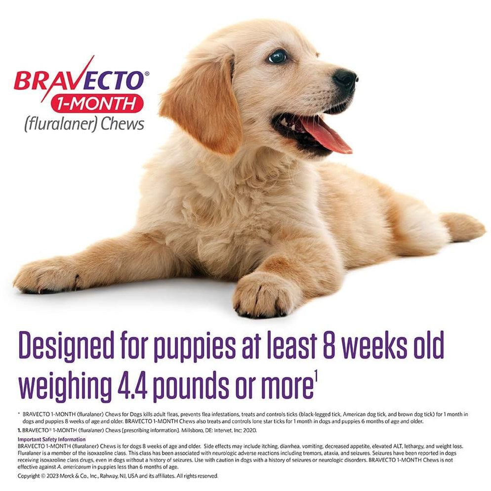 Rx Bravecto Chews for Dogs, 1 Month Flea & Tick Control — Lambert Vet ...