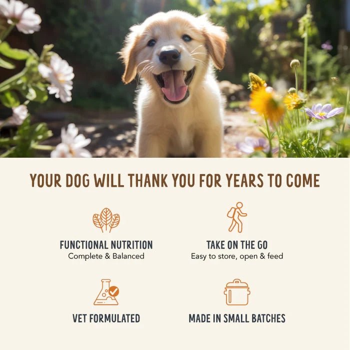 Broth - Licious in Bone Broth - Healthy Belly Recipe Dog Food, 3.5 oz Tray - HE28 - 3.5 oz - Ocean Fish in Bone Broth - Shiny Coat Recipe - 14