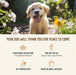 Broth - Licious in Bone Broth - Healthy Belly Recipe Dog Food, 3.5 oz Tray - HE28 - 3.5 oz - Ocean Fish in Bone Broth - Shiny Coat Recipe - 14