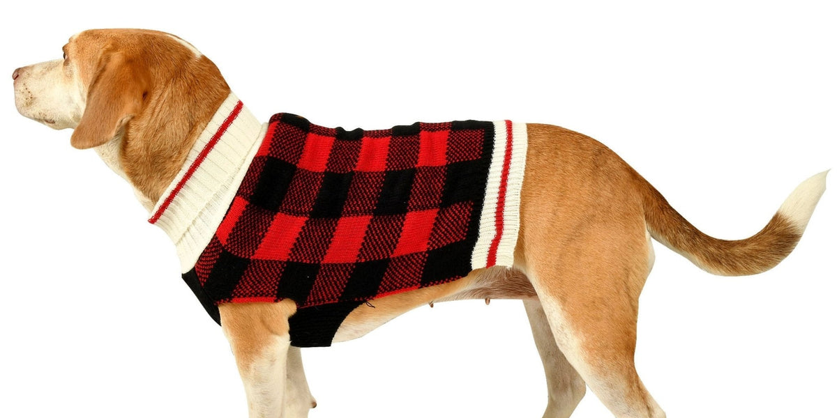 Buffalo Plaid Dog Sweater, XLarge