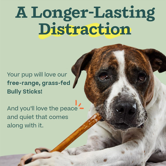 BullySafe Bully Sticks– Odor - Free, Long - Lasting Dog Chews | Grass - Fed, Free - Range, Single - Ingredient Beef Pizzle Treats - WO2BV - Beef - 12"L - 5 pack - 9