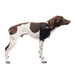 Caldera Pet Therapy Shoulder Wrap with Therapy Gel - 014CAL-15001 - Medium - 2