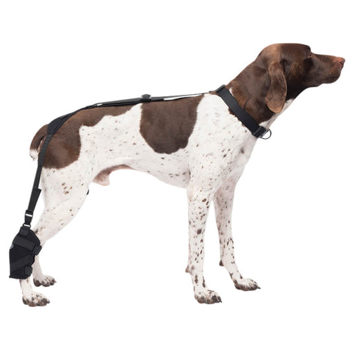 Caldera Pet Therapy Tarsal Wrap with Therapy Gel - 014CAL-15004 - Medium - 2