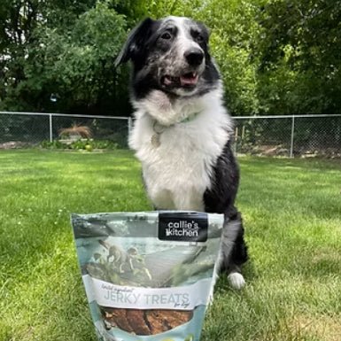 Callie’s Gourmet Kitchen Duck Recipe Jerky Dog Treats, 40 oz – Grain - Free, High - Protein Soft Dog Snacks - PH3AN - Duck - 40 oz - 3