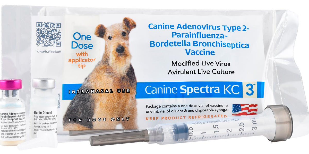 Canine Spectra KC Intranasal Dog Vaccine, Single Dose — Lambert