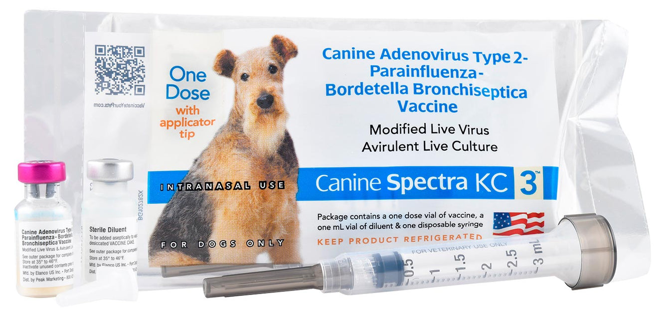 Canine Spectra KC 3 Intranasal Dog Vaccine, Single Dose — Lambert