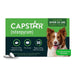 Capstar Oral Flea Treatment for Dogs - WVCB - 25 - 125 lbs - 6 tablets - 5