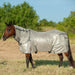 Cashel Economy Horse Fly Sheet with Neck Guard - QL1J5 - 74 - 76 in - Grey - 1