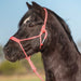 Cashel Flat Braid Pony Halter - QL1MM - Pink - 6