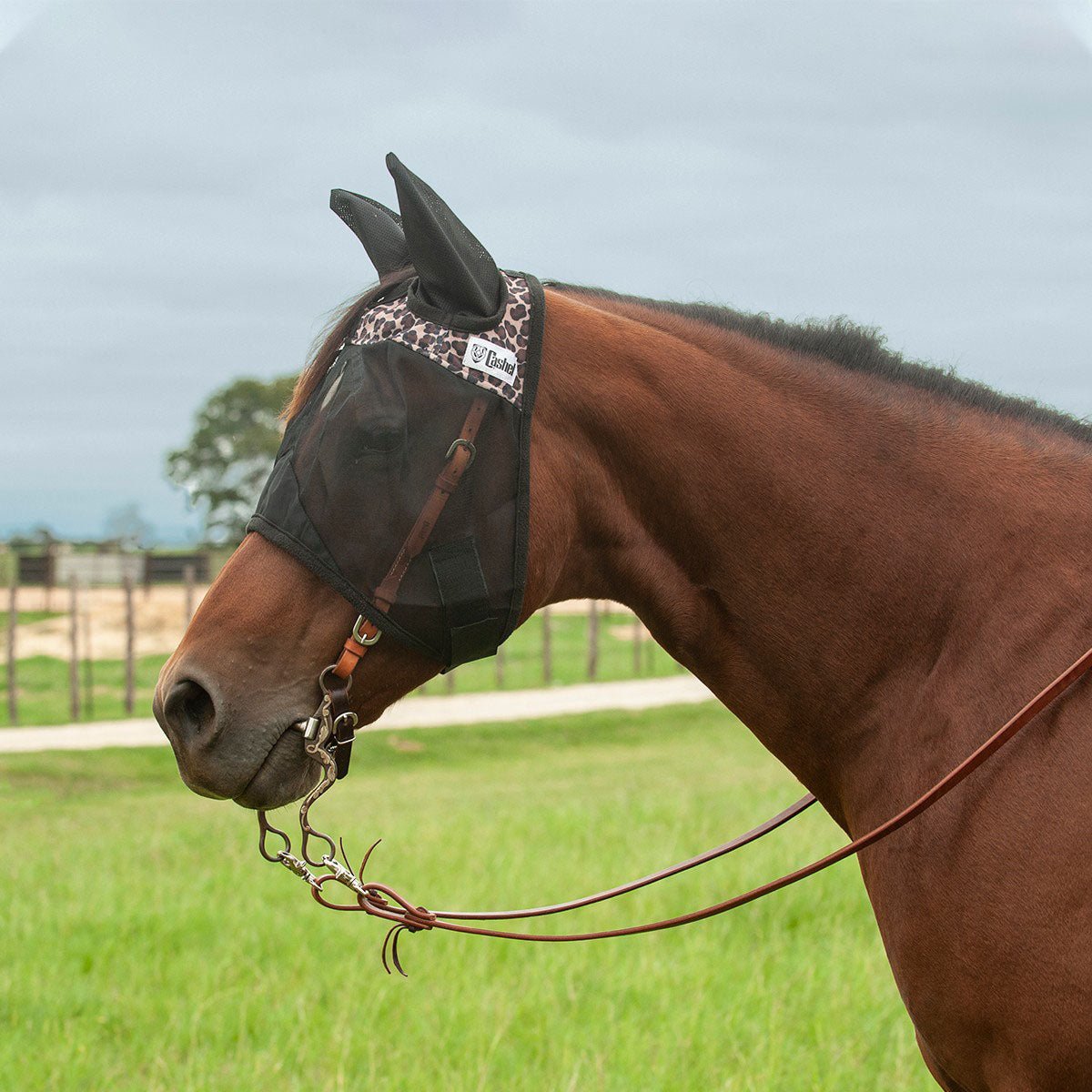 Quiet Ride Fly Mask with Ears for Horses, Multiple Colors — Lambert Vet ...