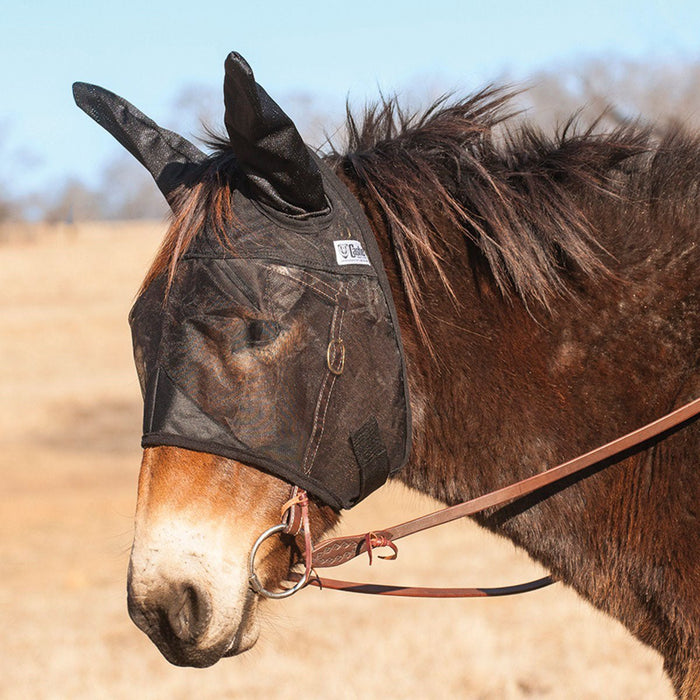 Cashel Quiet - Ride Fly Mask with Ears for Mules & Donkeys, Riding Comfort - QLCD - Mule - Large (40") - Black - 3