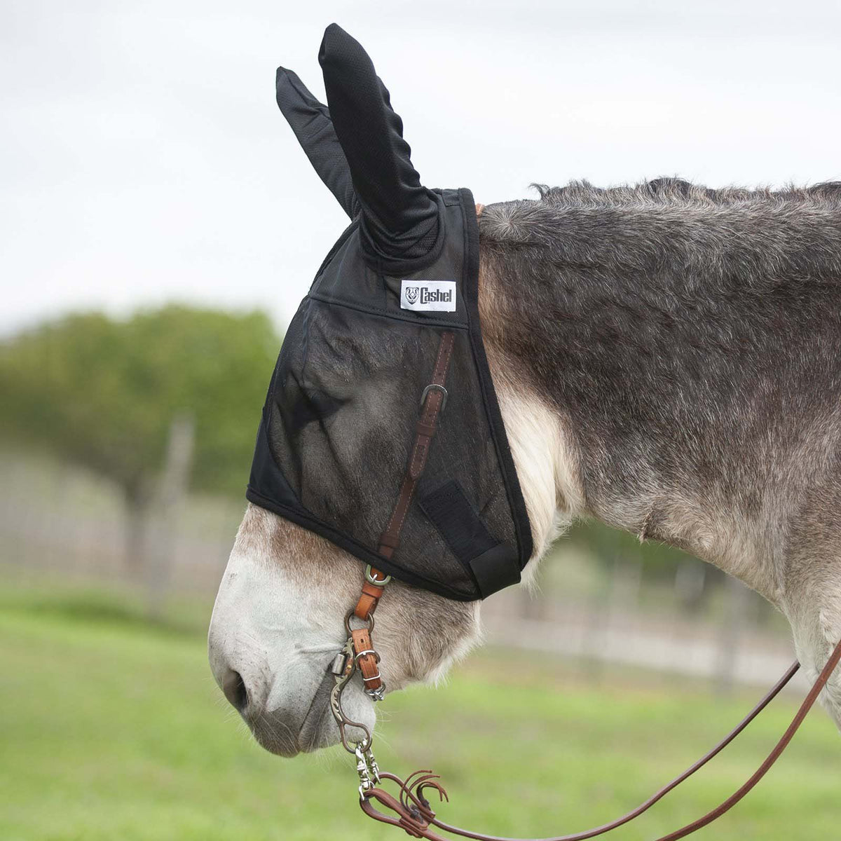 Cashel Crusader Quiet-Ride Horse Fly Mask with Ears — Lambert Vet Supplies