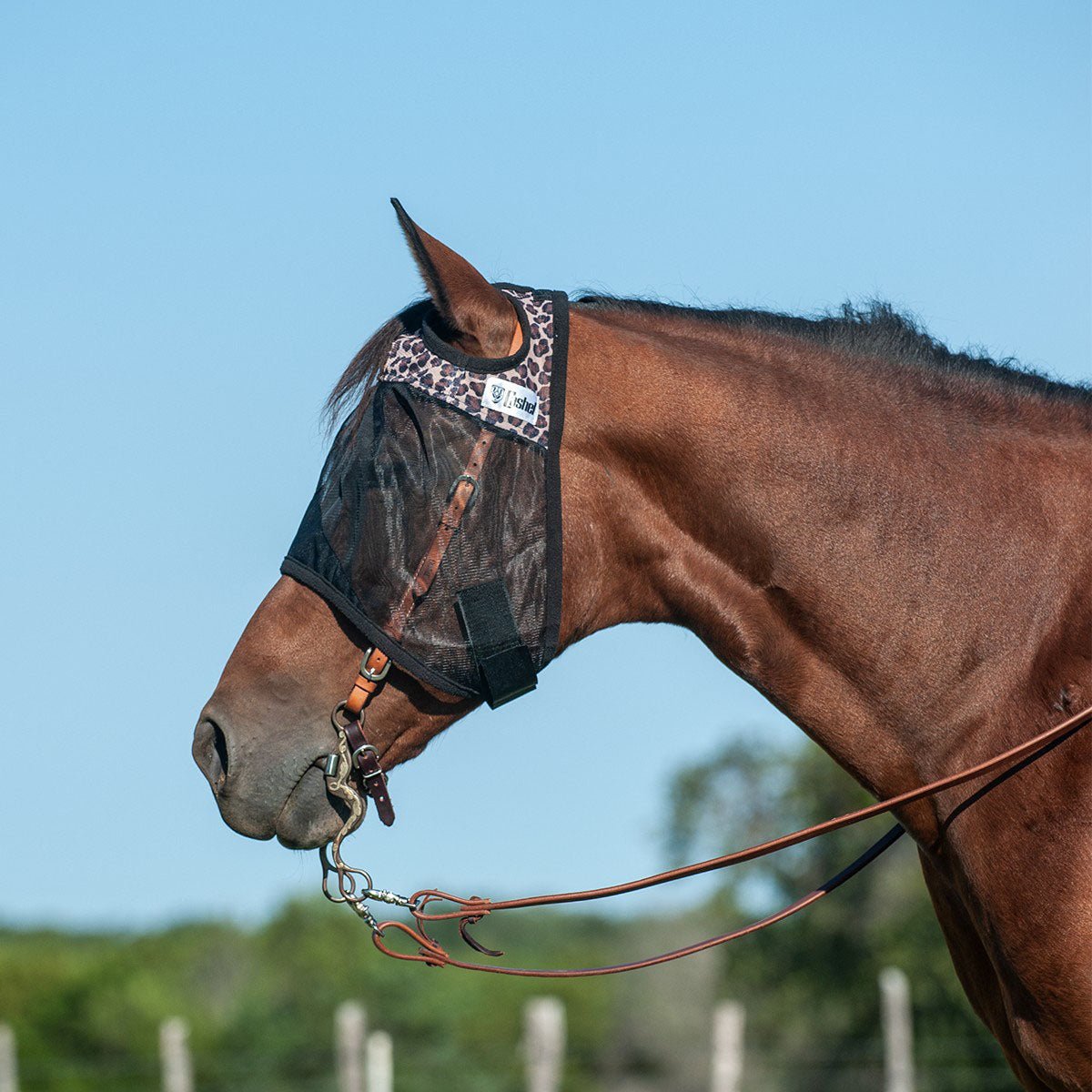 Quiet Ride Fly Mask, Multiple Colors — Lambert Vet Supplies