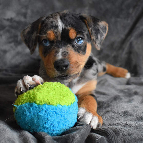 Duraplush Size Small