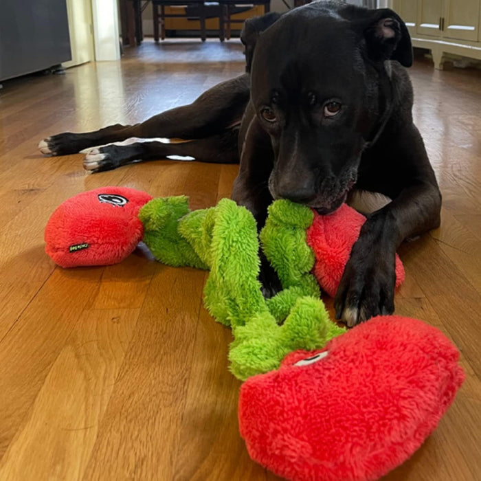 Cycle Dog Duraplush Tomatoes Vine Springy Medium — Lambert