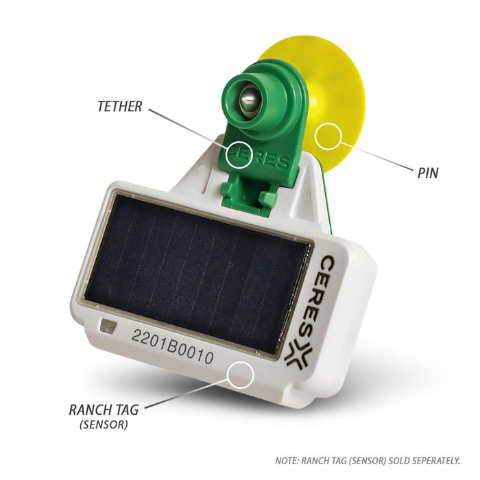 Ceres Pin CERES RANCH Pins and Tethers for Cattle Tag Attachment — Lambert Vet ...