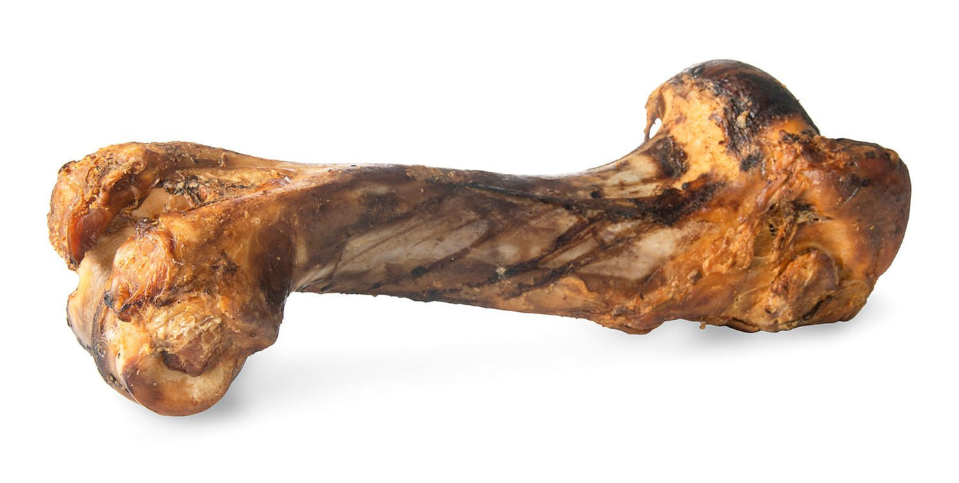 ChewMax Dino Beef Bone - CMPBN - 2