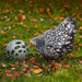 Chicken Snack Ball – 100% Recycled, Foraging & Play Feeder - GAUES - 3