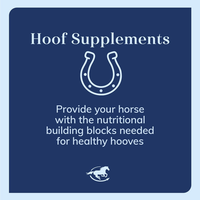 CocoHoof, Hoof Formula with Omega Fatty Acids for Horses, Pellets - SMABC - 12 lb - 8