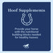 CocoHoof, Hoof Formula with Omega Fatty Acids for Horses, Pellets - SMABC - 12 lb - 8
