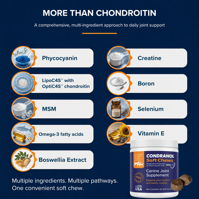 Condranol Soft Chews Canine Joint Supplement for Dogs, 90 count - NOV1 - 90 Soft Chews - 2