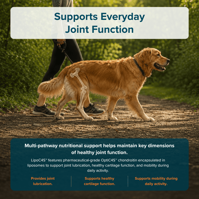 Condranol Soft Chews Canine Joint Supplement for Dogs, 90 count - NOV1 - 90 Soft Chews - 4