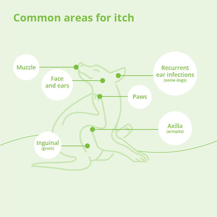 DermAllay Oatmeal Spray Conditioner – Anti - Itch, Leave - On Skin Relief for Dogs, Cats & Horses - 013DP-0095 - 8 oz - 11