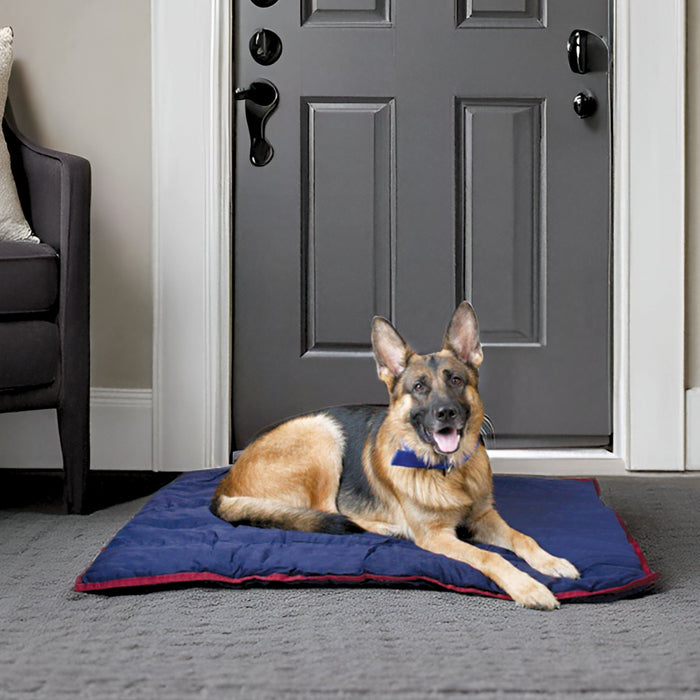 Jeffers Pet Washable Comfy Dog Pillow for Crates, Carriers, or Lounging