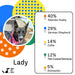 DNA My Dog - Essential Breed ID Test - DNAAC - 1 - 6