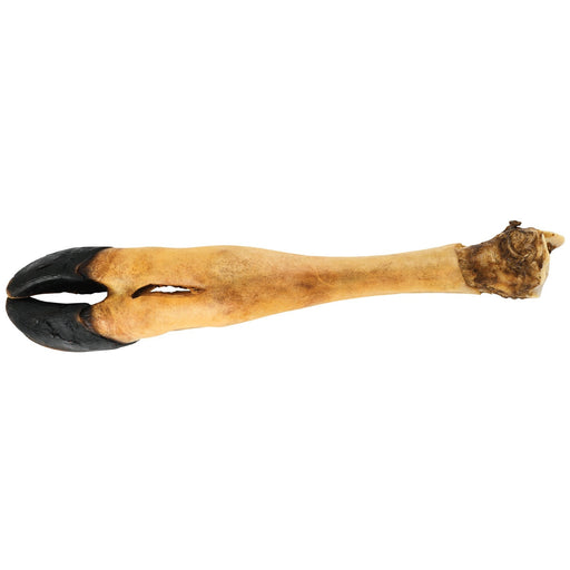 Dogginstix Beef Foot Dog Chew – Four Treats in One, Ideal for Small to Medium Dogs - DG2S - 14"L - Beef - 1 ct - 1