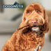 Dogginstix Braided Lamb Collagen Dog Chew – Long Lasting, Digestible, High Protein Rawhide Alternative - DG2L - 12"L - Lamb - 1 ct - 9