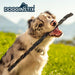 Dogginstix Braided Lamb Collagen Dog Chew – Long Lasting, Digestible, High Protein Rawhide Alternative - DG2M - 24"L - Lamb - 1 ct - 14