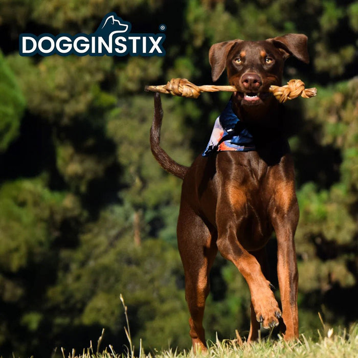 Dogginstix Braided Lamb Collagen Double Knot Dog Chew – Natural, Grass - Fed, Low Fat Treat - DG2P - 15"L - Lamb - 1 ct - 4