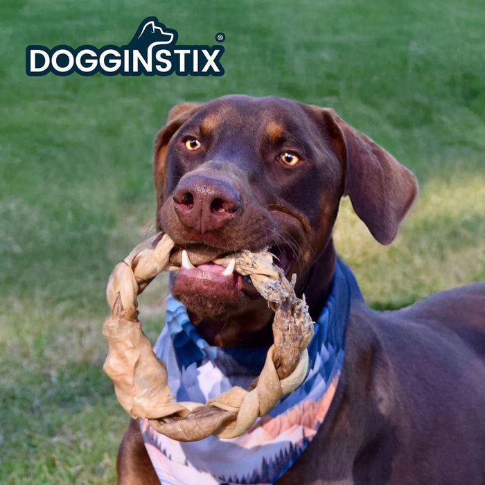 Dogginstix Braided Lamb Collagen Ring Chew Dog Treat – Natural, Grass - Fed, Low Fat - DG2N - 5" - Lamb - 1 ct - 4