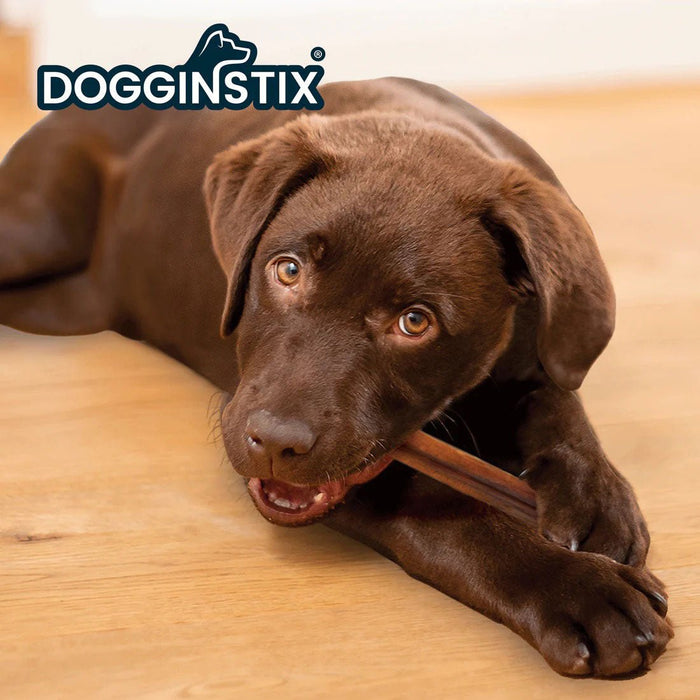 Dogginstix Bully Stick Dog Chew, All - Natural, Grass - Fed Beef, Odor - Free - DG2H - 24"L - Cane - 28
