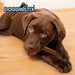 Dogginstix Bully Stick Dog Chew, All - Natural, Grass - Fed Beef, Odor - Free - DG2H - 24"L - Cane - 28