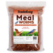 Dried Mealworms for Wild Birds, Chickens, Fish, & Reptiles - NC25 - 11 lbs - 11