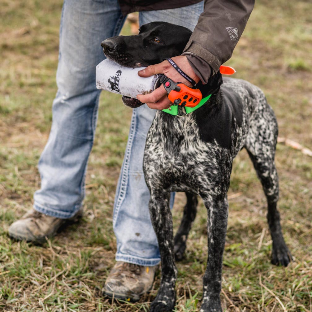 Salt Gun Systems Super-Pro Dog Training Launcher Dummy