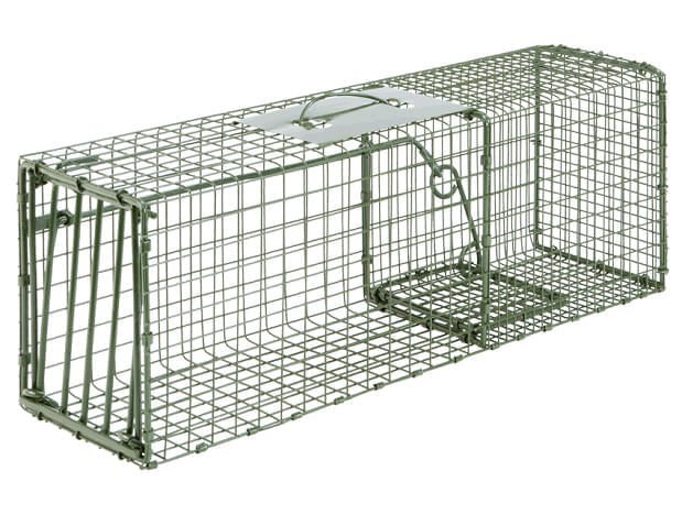 Duke Heavy - Duty Live Animal Cage Trap – Humane Steel Catch & Release Trap - DUAB - Heavy Duty - Medium - 1
